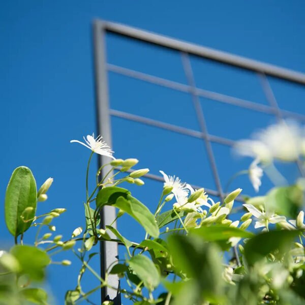 4' Pivoting Trellis for Lifetime™ Corners