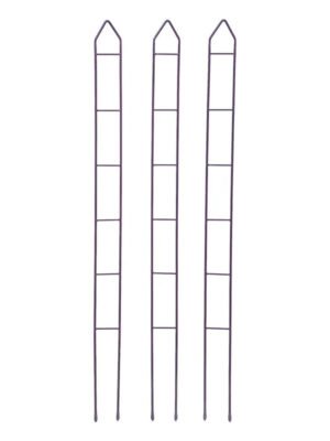 Zenith™ Plant Stakes, 45”, Set of 3