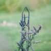 Zenith™ Plant Stakes, 45”, Set of 3