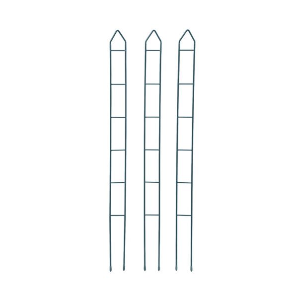 Zenith™ Plant Stakes, 45”, Set of 3