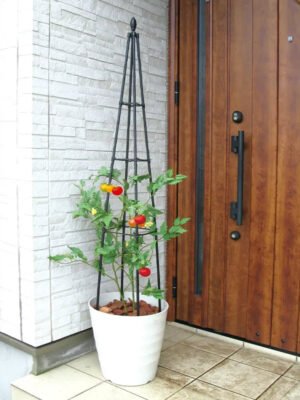 Titan™ Pyramid Trellis