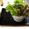 VegTrug Chef's Garden