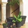 Brunello Planters