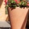 Universal Round Planter Saucers