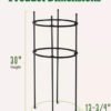 Titan Peony Supports, Medium, Set of 2