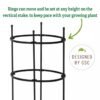 Titan Peony Supports, Medium, Set of 2