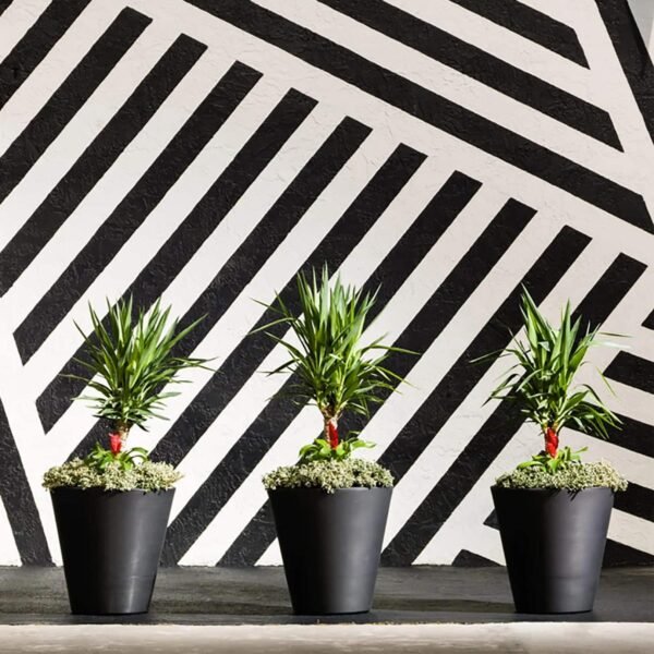 Madison Planters