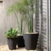 Madison Planters