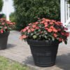 Brunello Planters