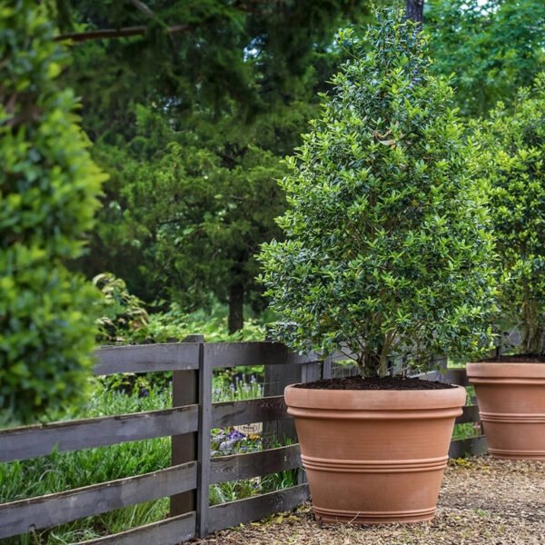 Brunello Planters