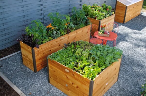 Elevated Cedar Raised Bed, 4' x 4'