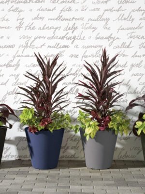 Madison Planters